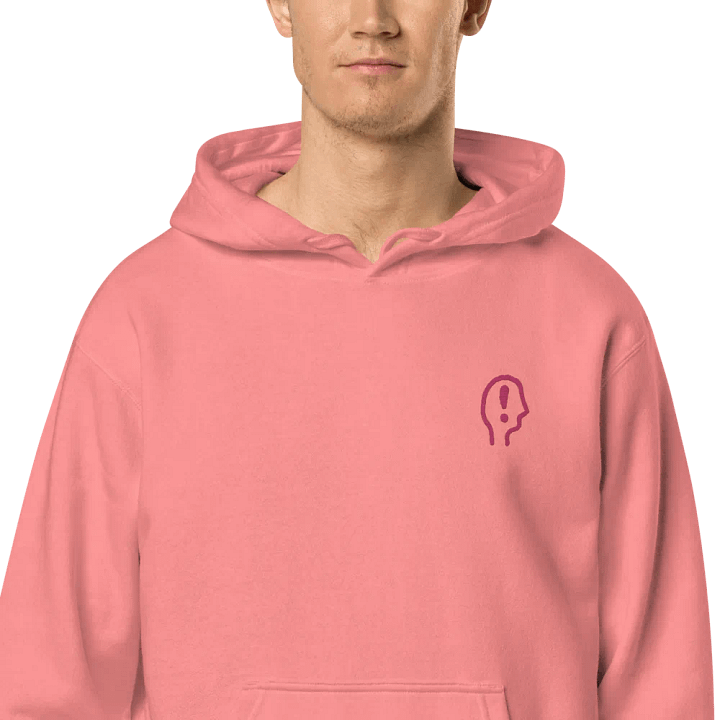 EXCLAIMING MENTALLY (pink) embroidered pigment hoodie product image (2)