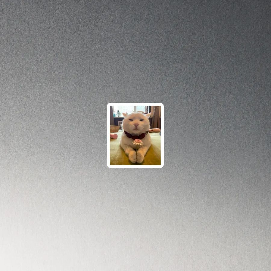 Pawsitively Adorable Cat Magnet product image (4)