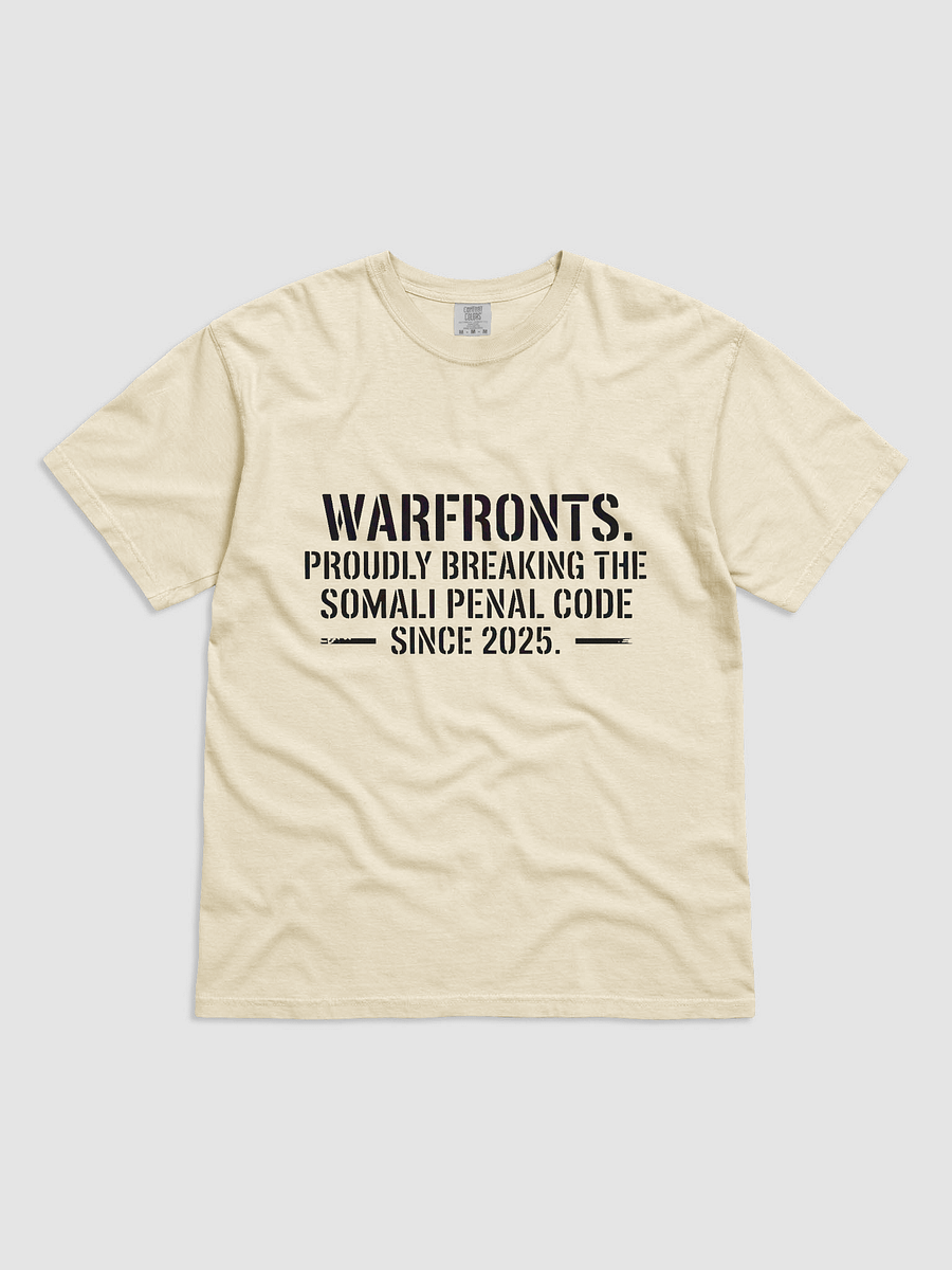 Breaking the Somali Penal Code product image (1)