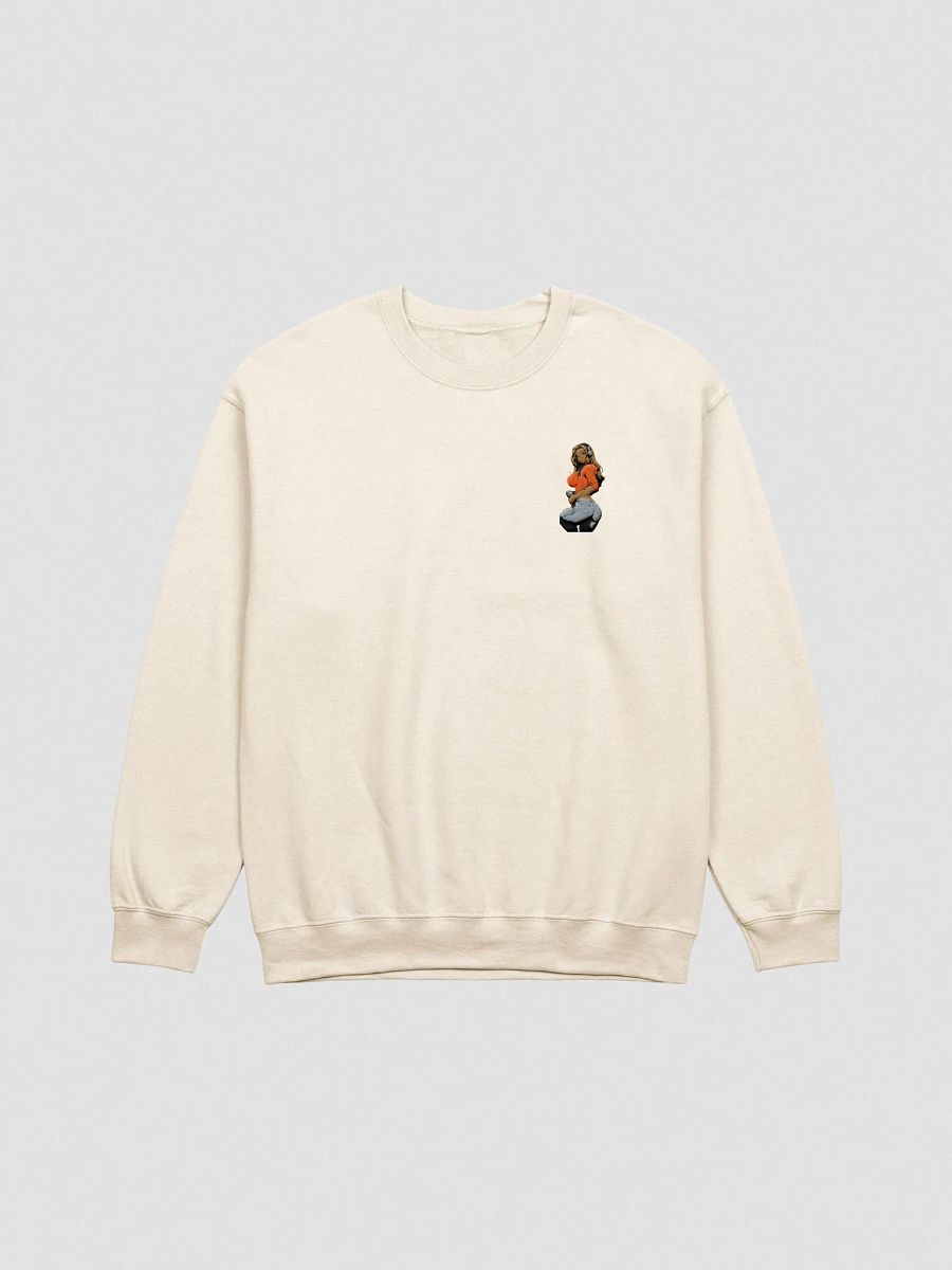 Gamer Spicy EMBROIDERED Sweatshirt product image (32)