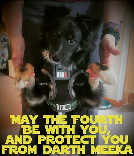 May the fourth be with you.
