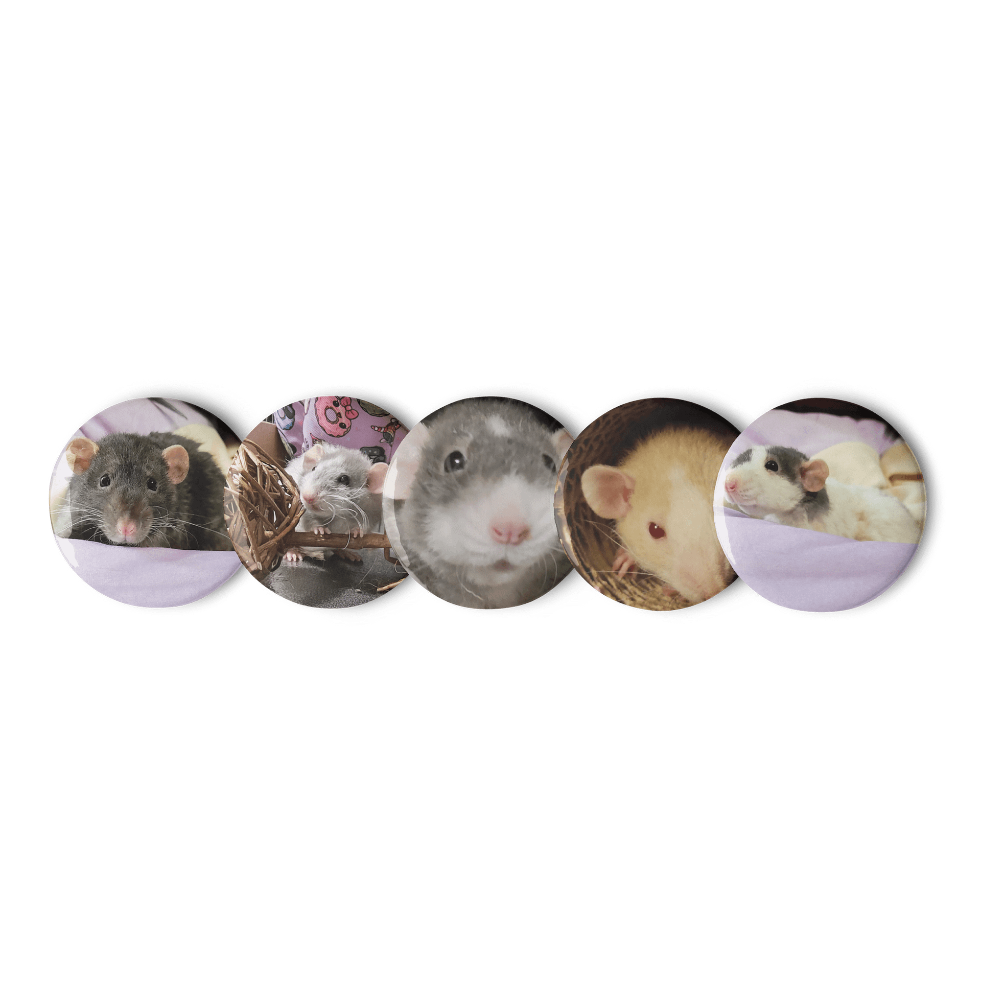 Rat Pictures || Set of Pin Buttons product image (1)
