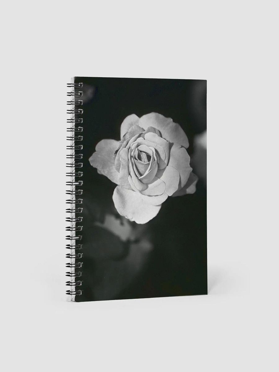 Journal product image (2)