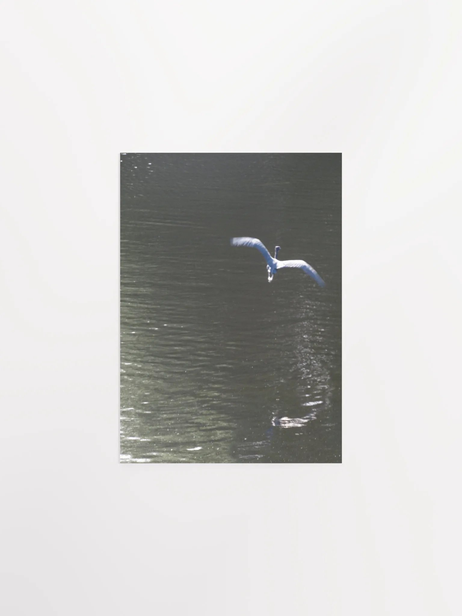 Flying Heron product image (2)