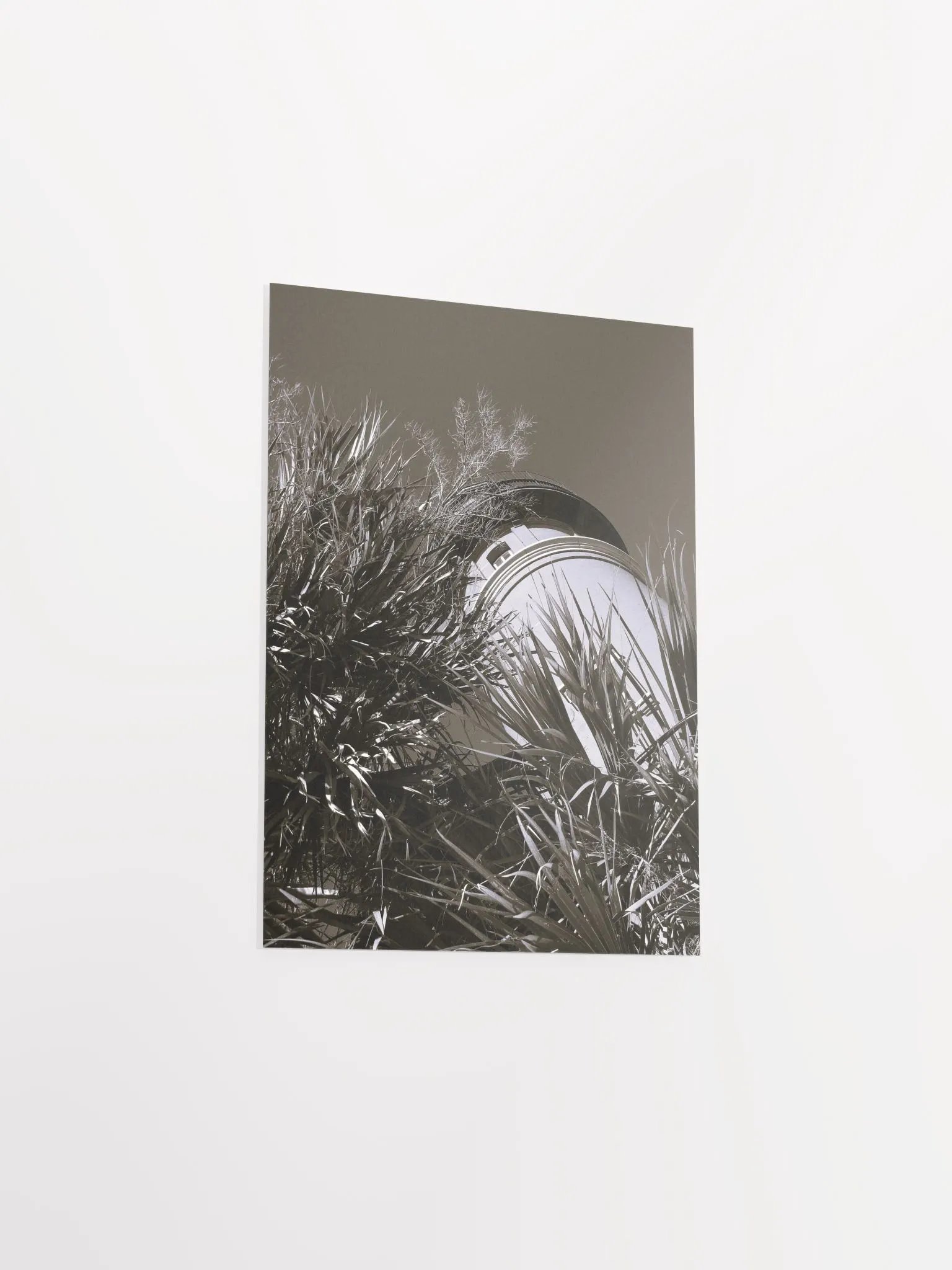 Sepia Filter Palms & Lighthouse product image (40)