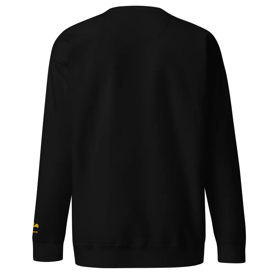 Stargazing Ghost Crew Neck product image (4)