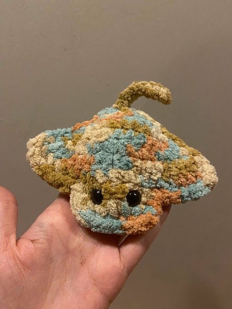 Manta Ray product image (7)