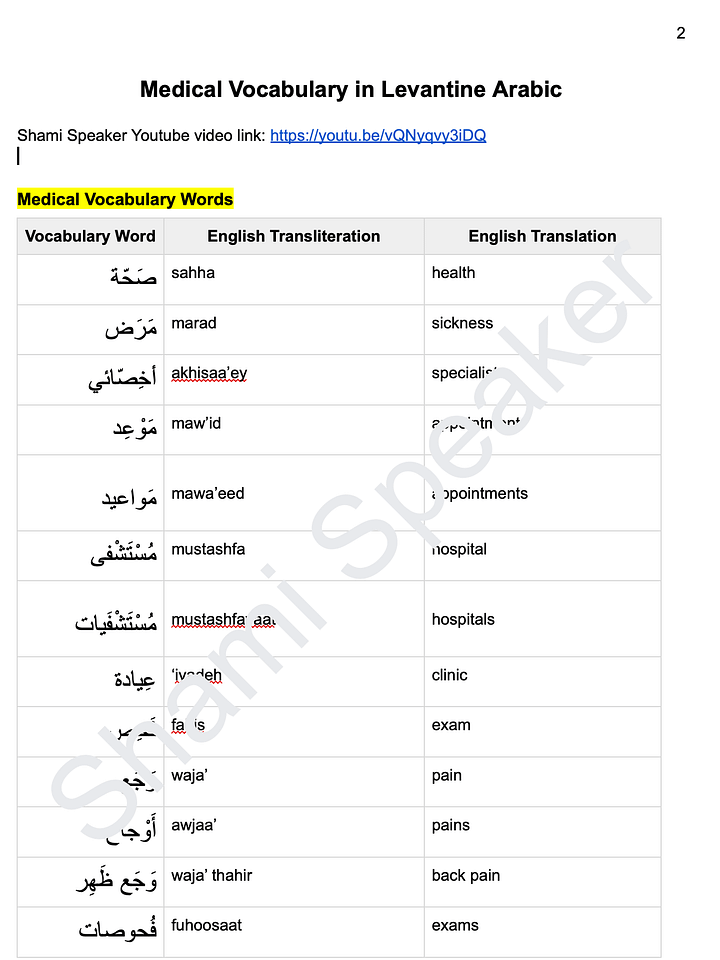 Medical Vocabulary in Levantine Arabic product image (2)