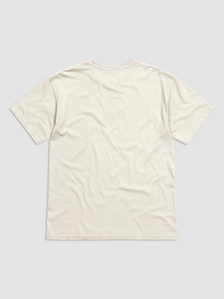 I Recently Moved To The Mountains T-shirt product image (27)