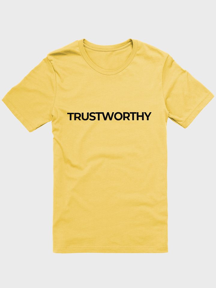 TRUSTWORTHY Human - Spring Shirt product image (13)