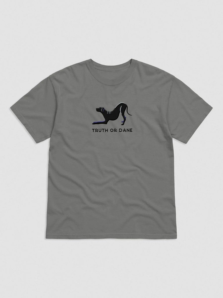 Truth or Dane T-Shirt(Embroidered) of a Great Dane(Black) product image (4)