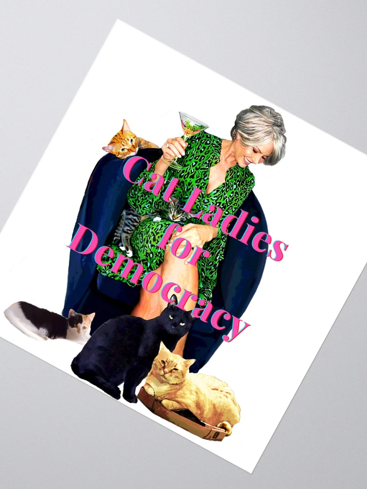 Cat Ladies for Democracy Sticker! product image (2)