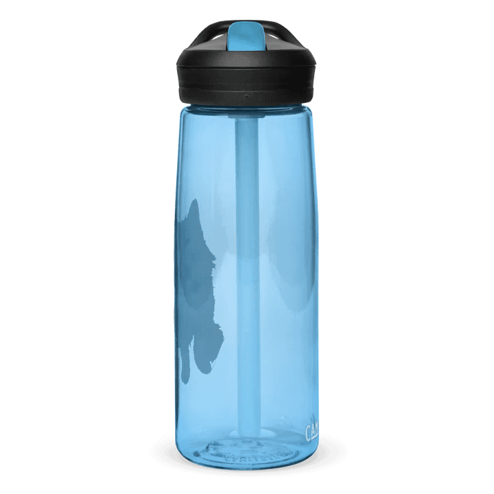 Anime Mirrored Sage! Water Bottle Straw product image (59)