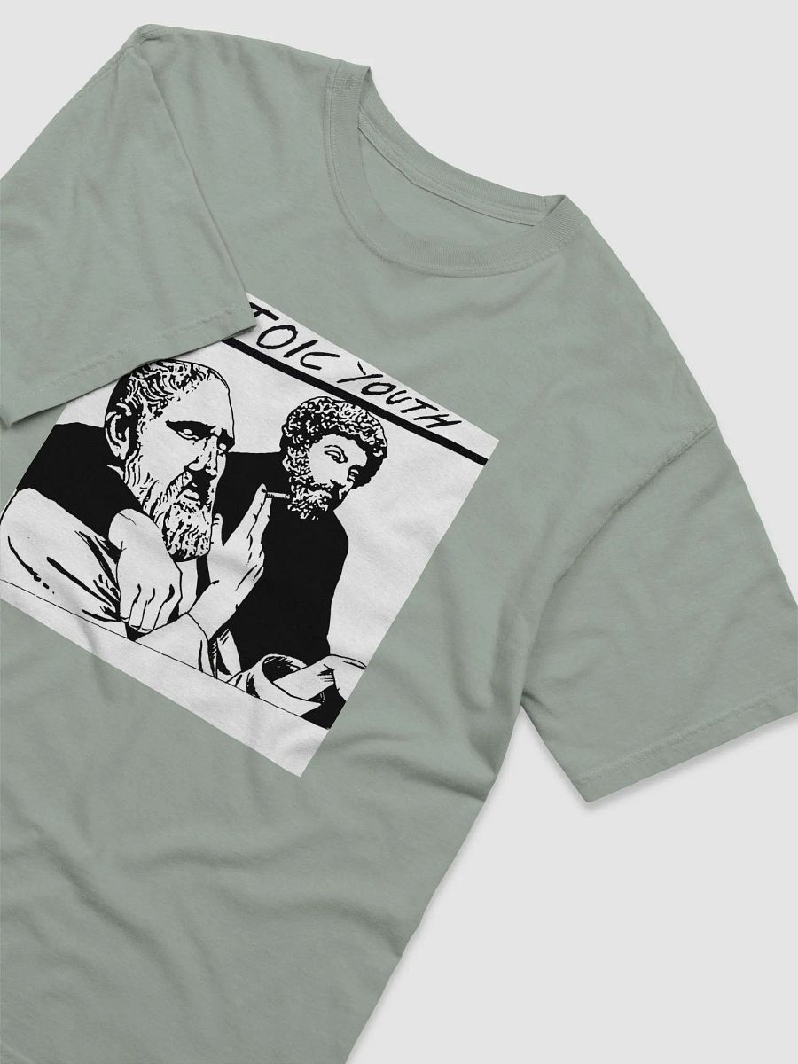 Stoic Youth Comfort Colors Garment-Dyed Heavyweight T-Shirt product image (3)