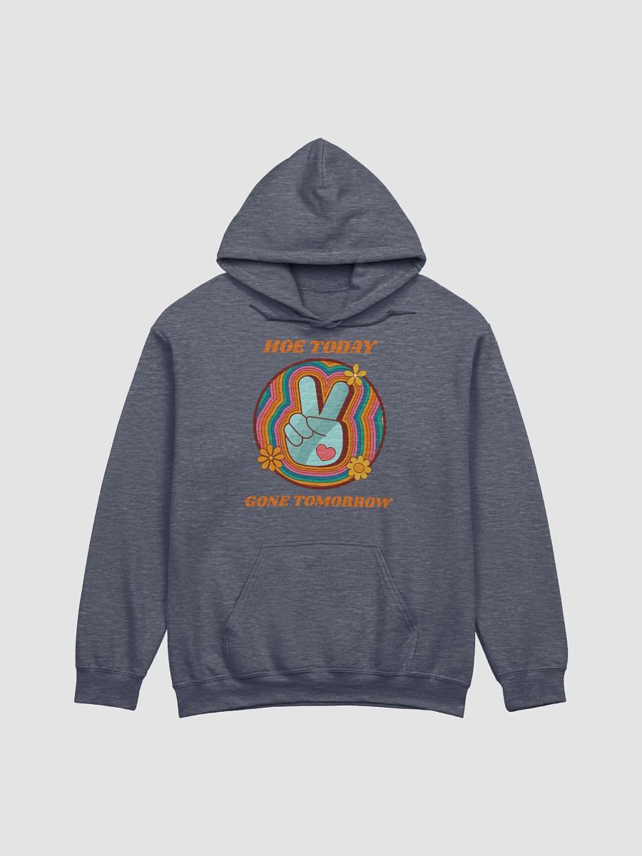 Hoe Today Hoodie product image (2)