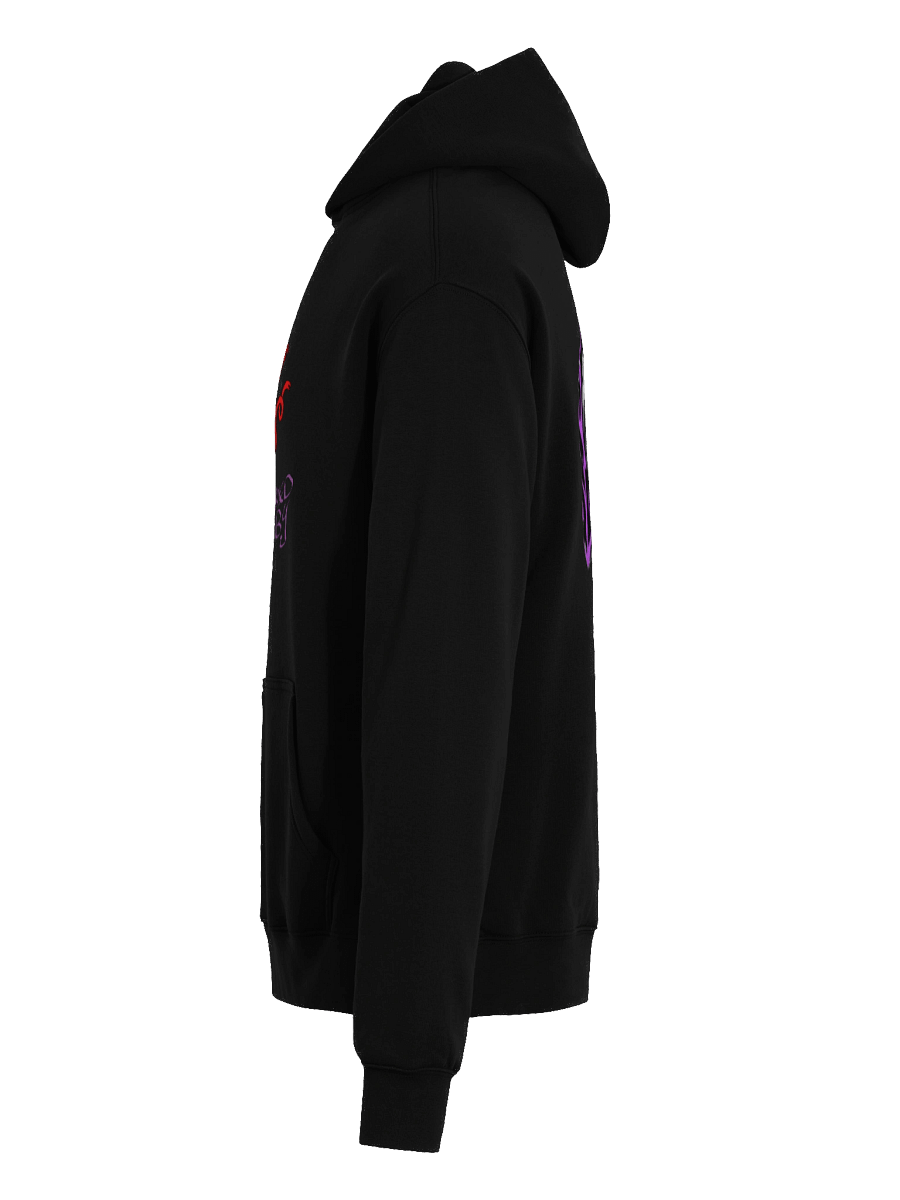 Welsh x Rags Hoodie product image (7)
