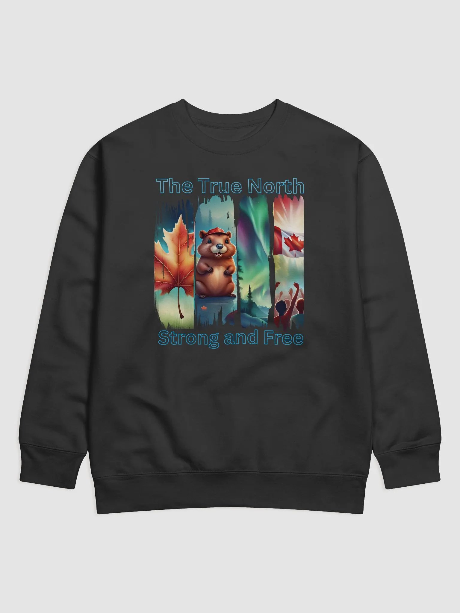 True North Vibes Sweatshirt product image (2)