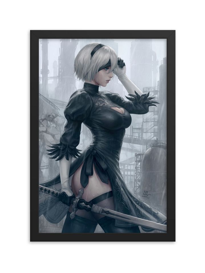2B - Framed product image (1)