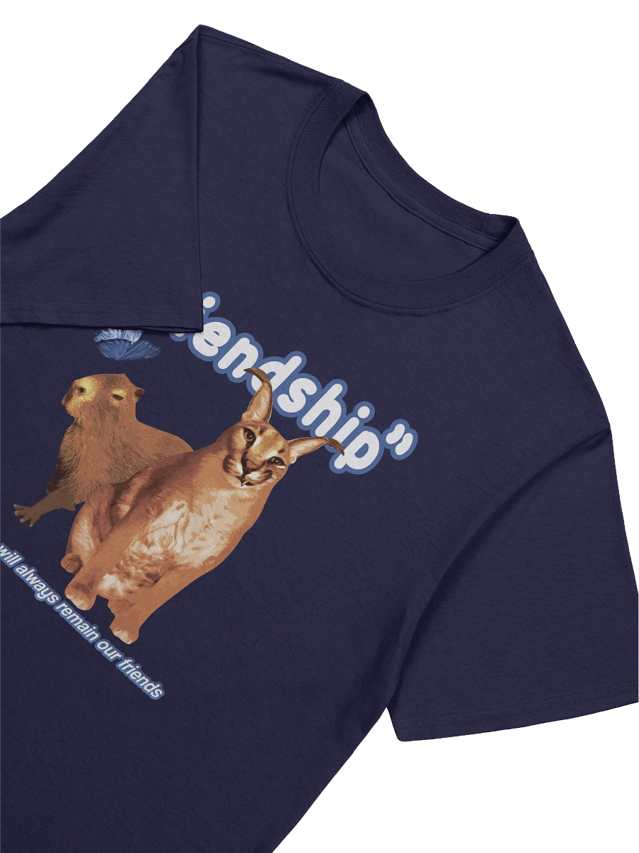 "Friendship" BIG FLOPPA x CAPYBARA TEE product image (7)