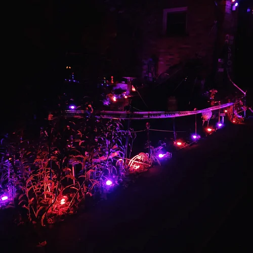 Halloween yard is setup #Halloween #Spooky #Scary #Skeletons #Purple #Orange #Fall #TrickOrTreat #S10