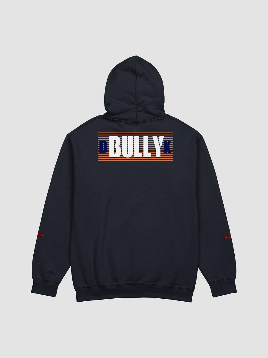 UNDERSTAND FULLY (HOODIE ) LD product image (2)