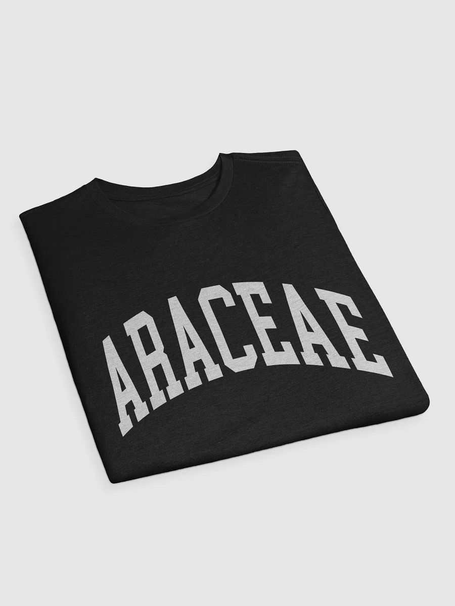 ARACEAE varsity supersoft unisex tee product image (3)