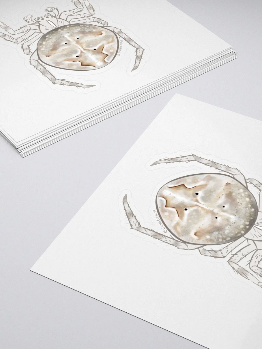 Large Grey Spider – Sticker product image (4)