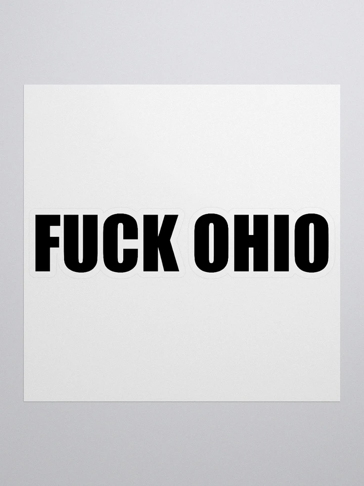 Literally a GIANT Fuck ohio sticker product image (1)