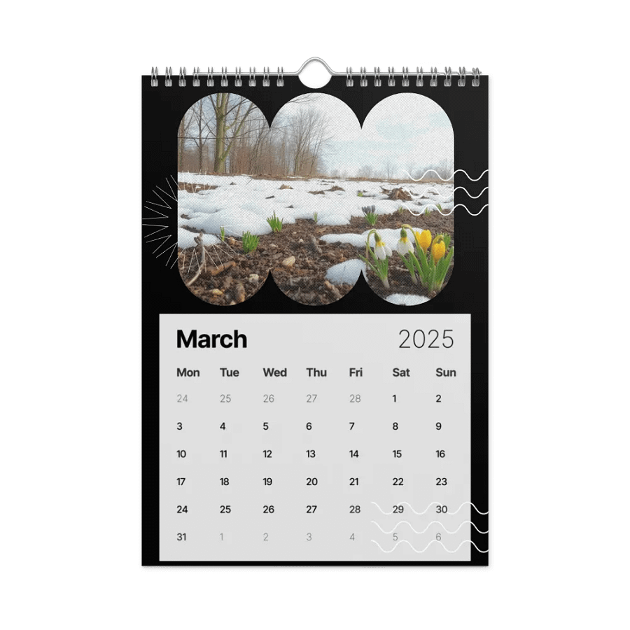 SEASONAL NATURE WALL CALENDAR 2025 product image (9)