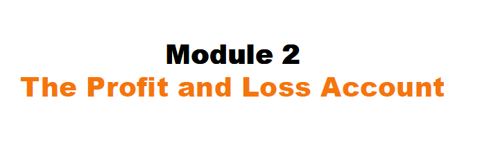 The Profit and Loss Account product image (1)
