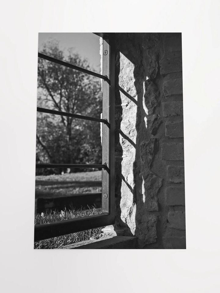 Light and Shadow (Premium Matte Poster) product image (1)