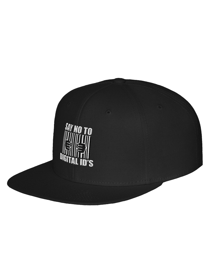 Dinohat - Say No product image (2)