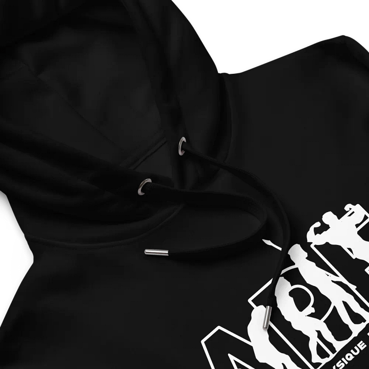 APEvolution: Premium Hoodie product image (2)
