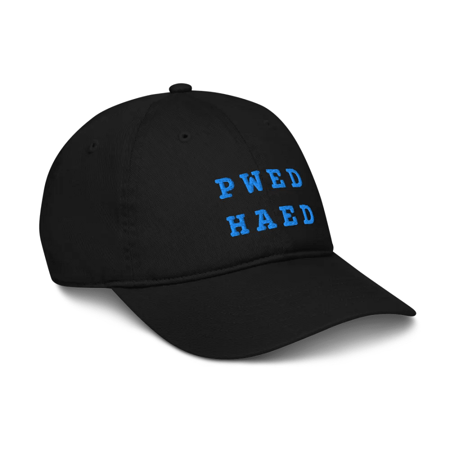 BED HEAD in steno - Organic Cotton Dad Cap (Blue) product image (12)