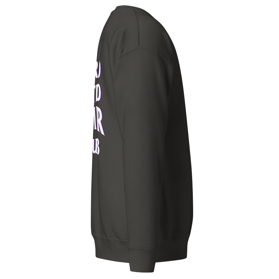 Introverted Streamer Club "Tired" Sweatshirt product image (24)