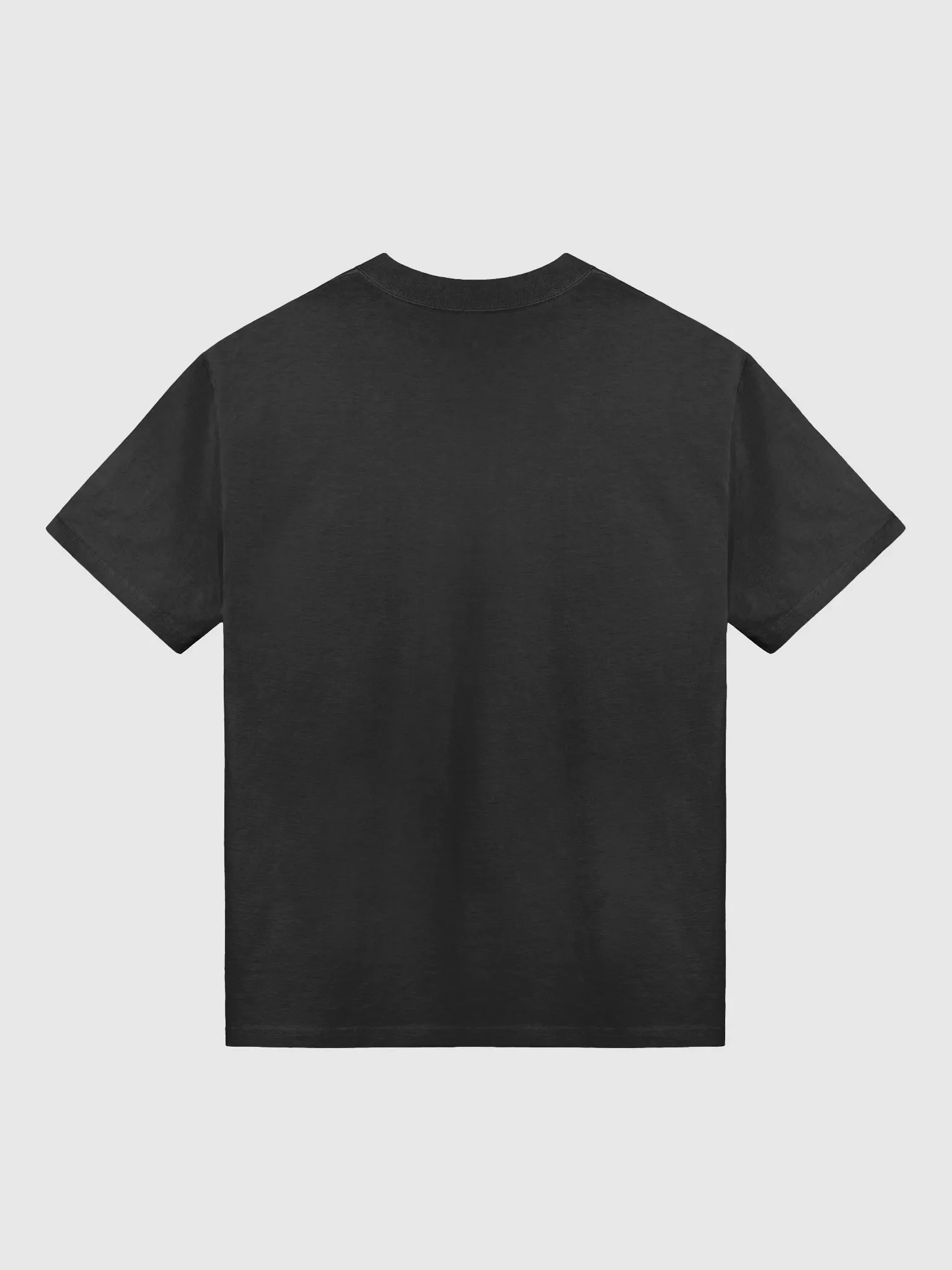 ALT_I_STICK PRIDE - AS OVERSIZED FADED TEE product image (6)