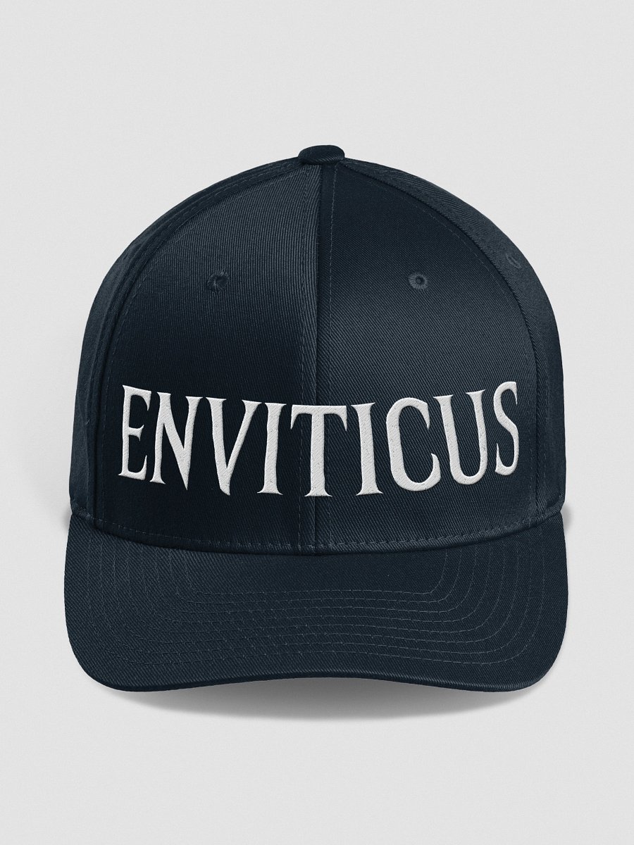 ENVITICUS Hat product image (2)