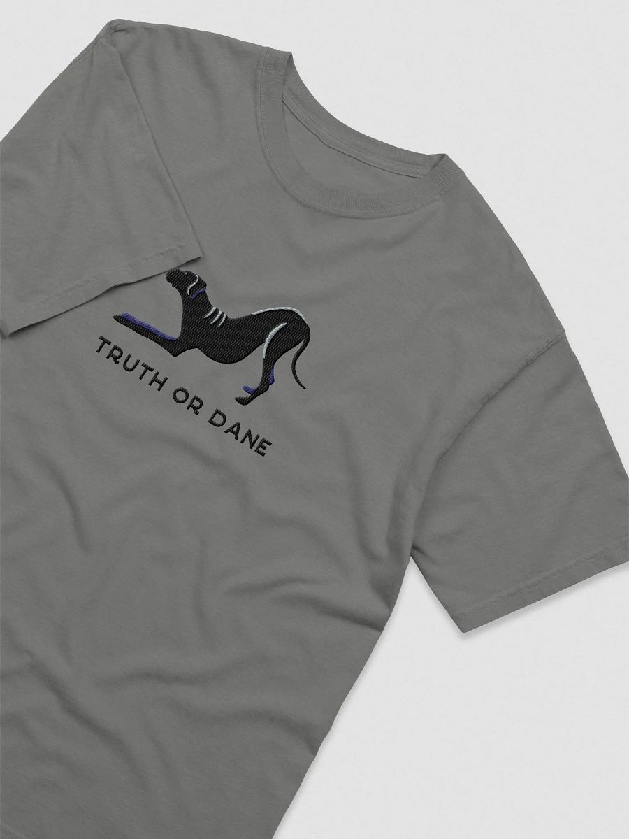 Truth or Dane T-Shirt(Embroidered) of a Great Dane(Black) product image (6)