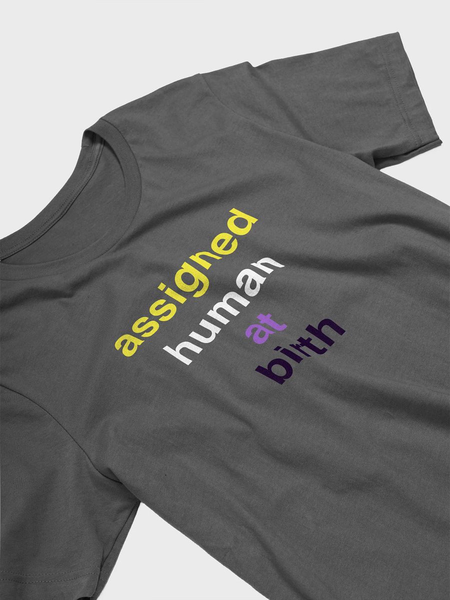 assigned human at birth nonbinary t-shirt product image (3)