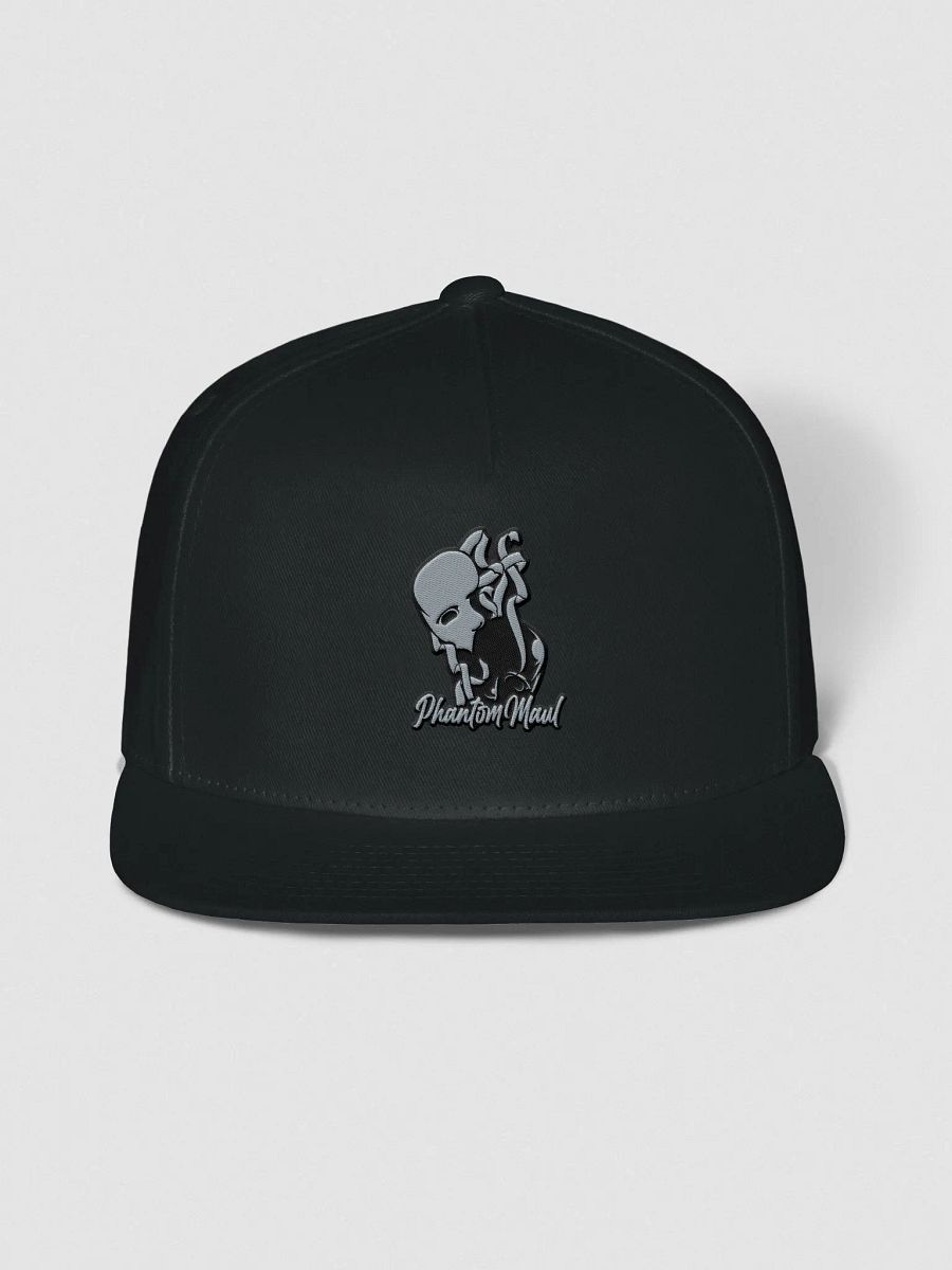 Grey & Black Logo Snap-Back product image (1)