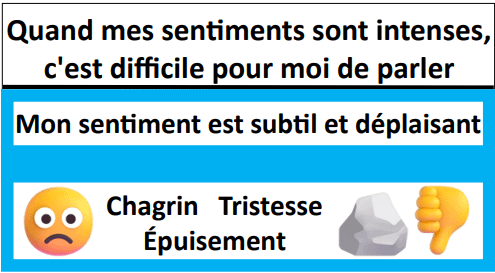 Mood Metre Tool - French product image (5)