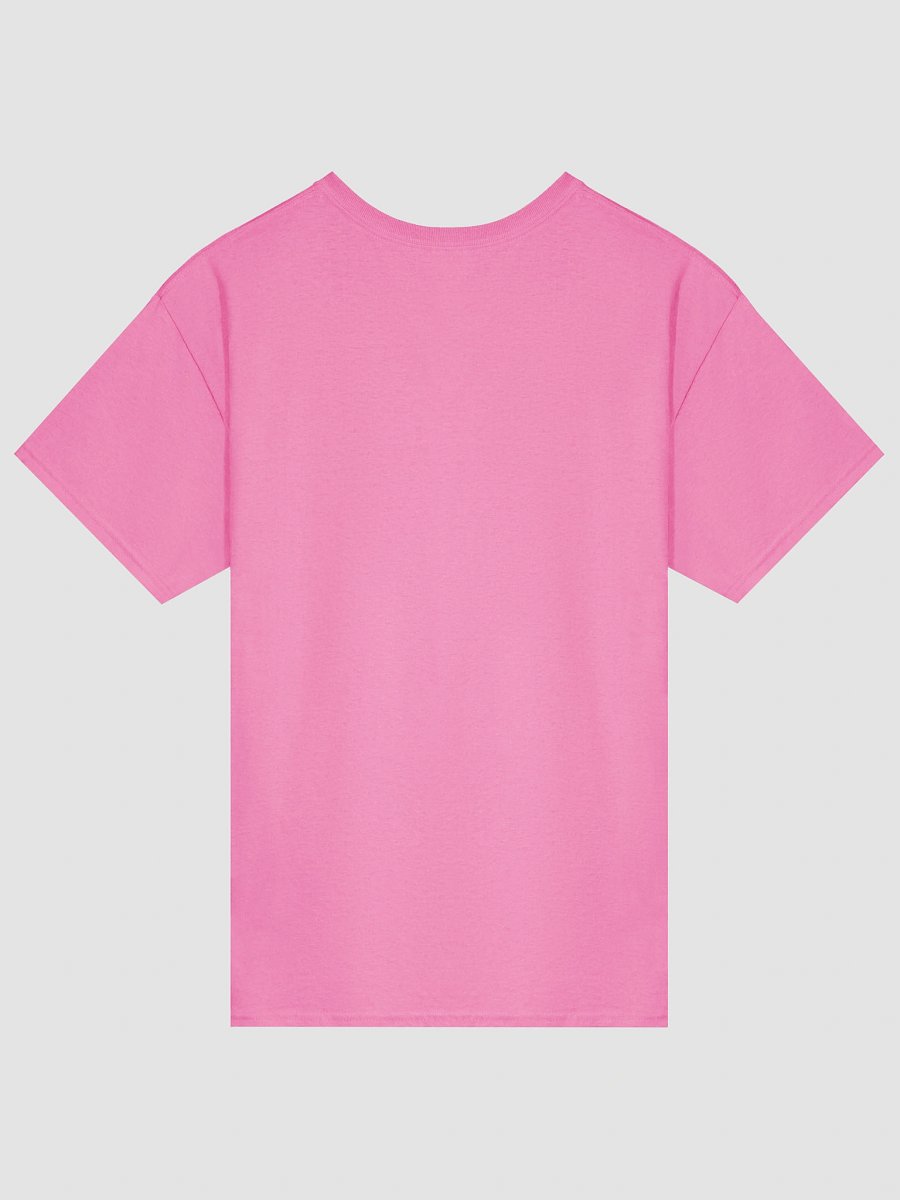 "Law & Order Must Prevail" Essential Truth Tee - Blue Ink product image (2)