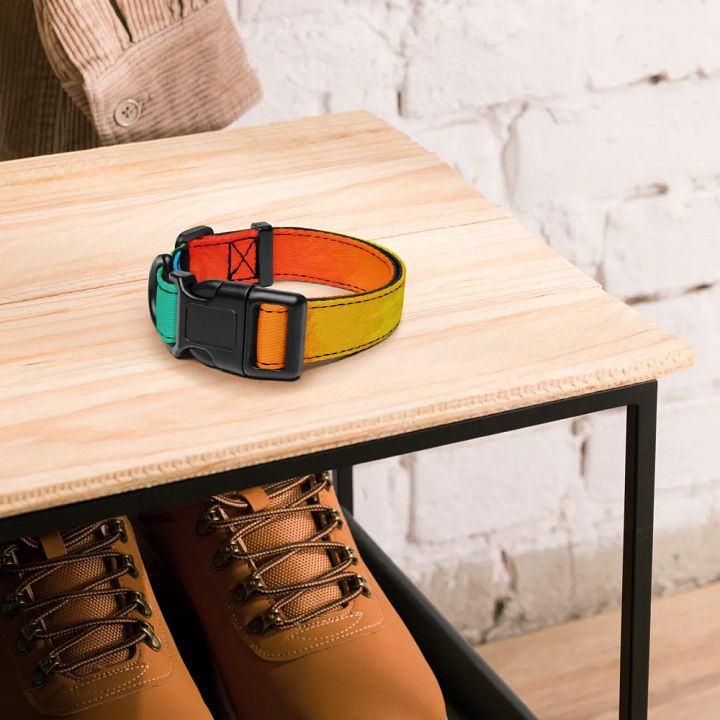 Pride Dog* Collar product image (2)
