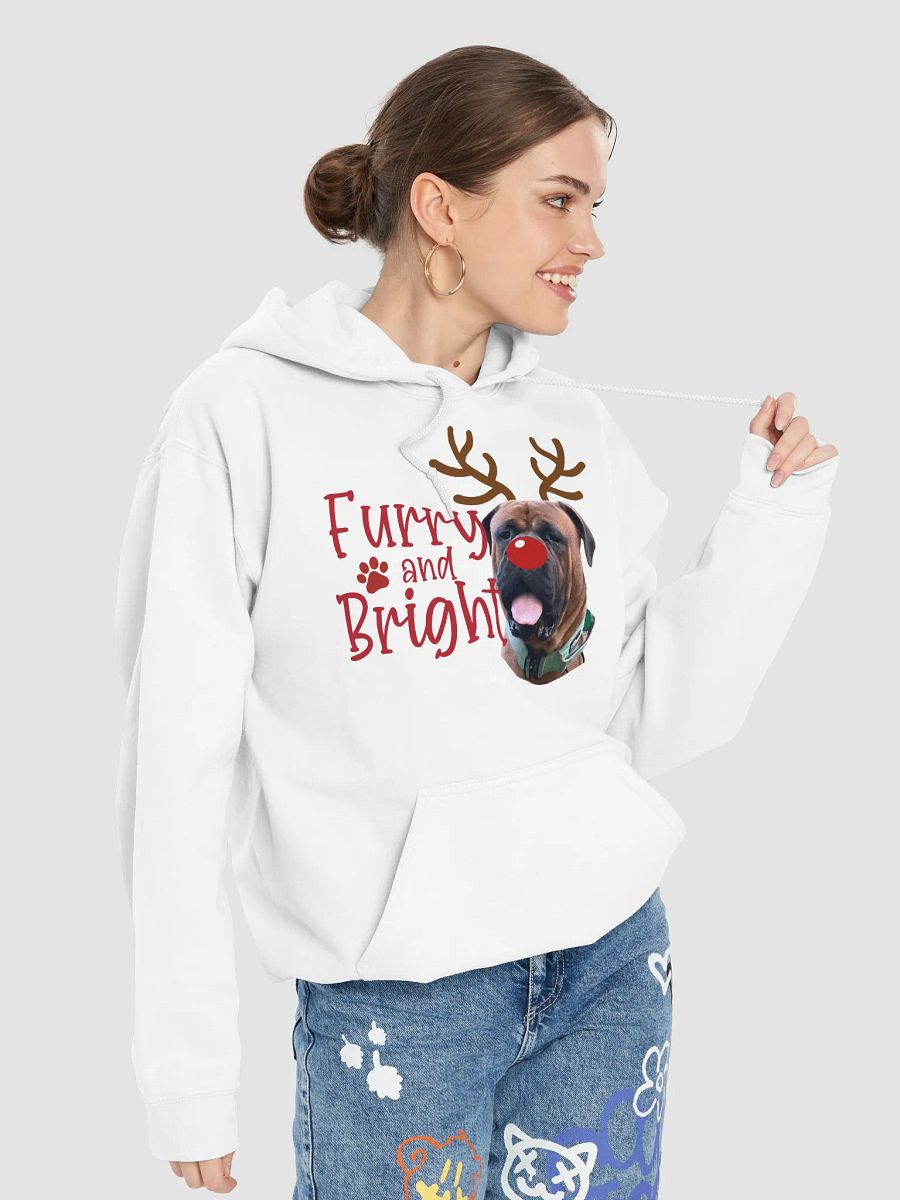 Furry and Bright Hoodie product image (97)