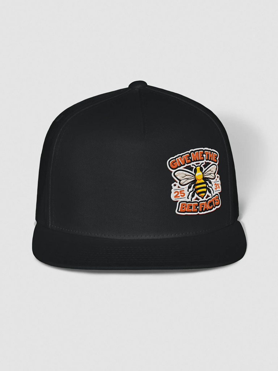 Bee Facts Hat product image (5)