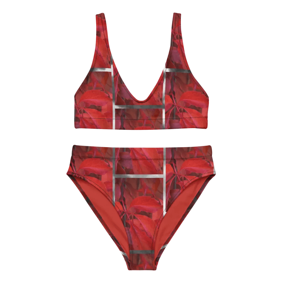 High-Waisted Bikini Set: Vildvin Red Dreams product image (5)