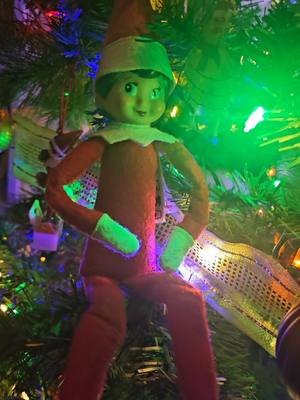 This was day 4 for us! Happy Holidays! 🫶🏼 #fyp #fypシ  #elfontheshelf #happyholidays #alttiktok 
