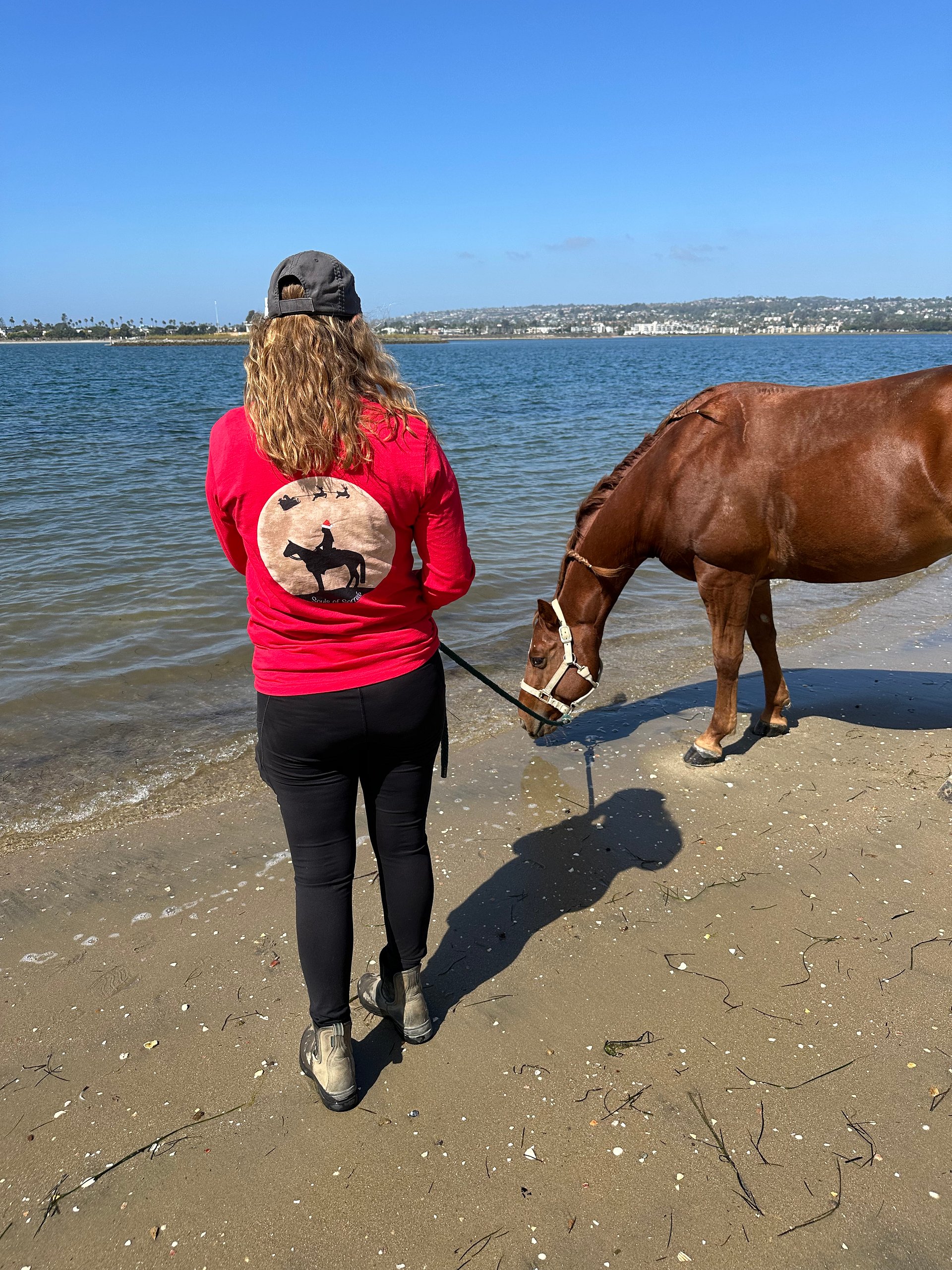 Here Comes Santa Claus! product image (3)