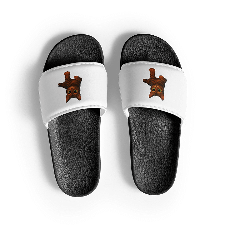 Dior'Cat - Men's Slides product image (2)