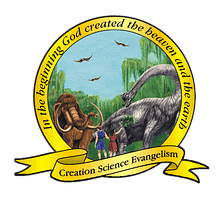 Dinosaur Adventure Land STORE